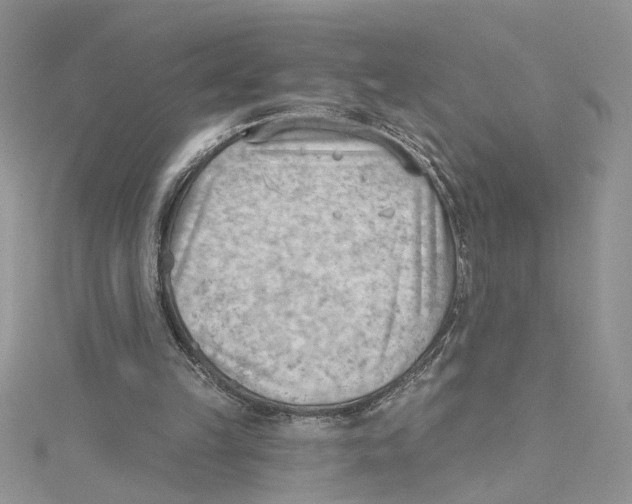 X0000114630149200911171017