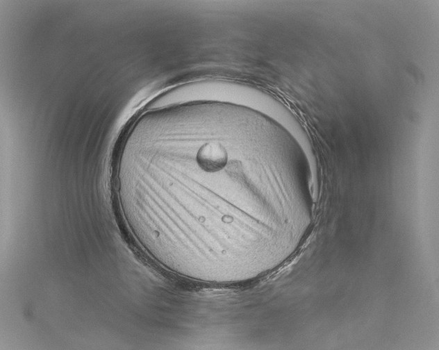 X0000114630150200911171017