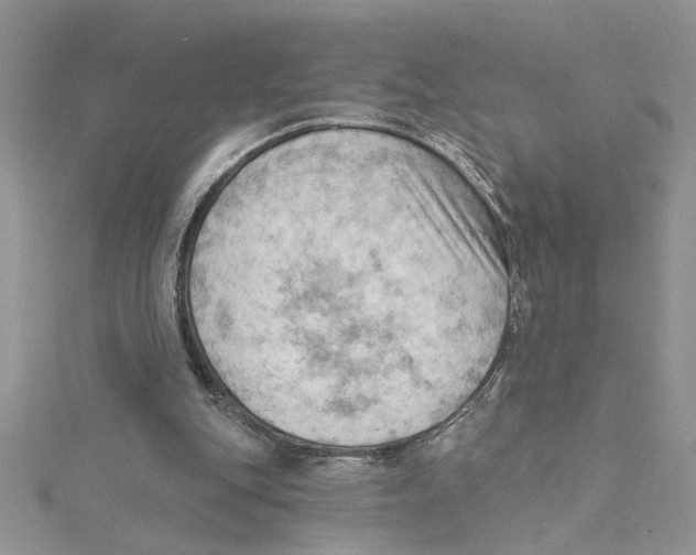 X0000114630151200911171017