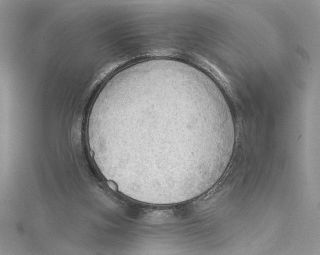 X0000114630155200911171017