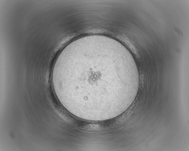 X0000114630159200911171017