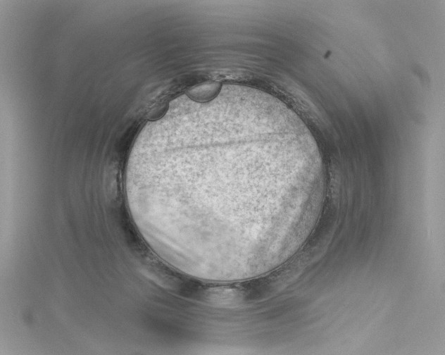 X0000114630169200911171017