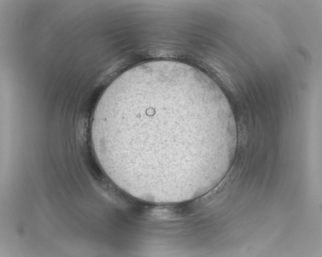 X0000114630171200911171017