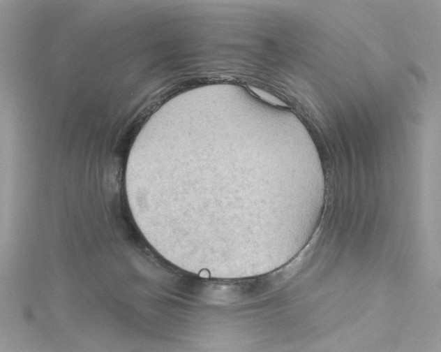 X0000114630174200911171017