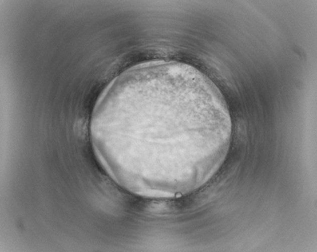 X0000114630177200911171017