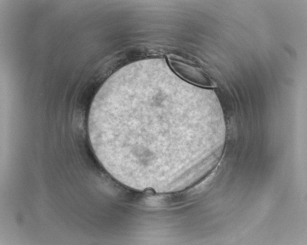 X0000114630178200911171017