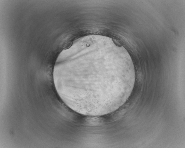 X0000114630181200911171017