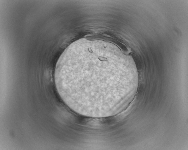 X0000114630182200911171017