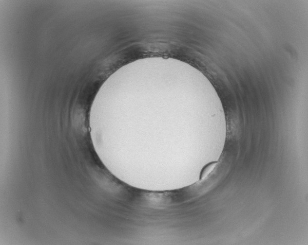 X0000114630187200911171017