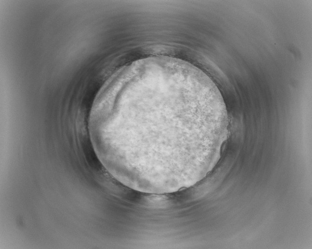 X0000114630189200911171017