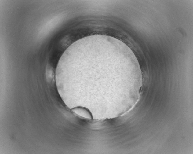 X0000114630191200911171017