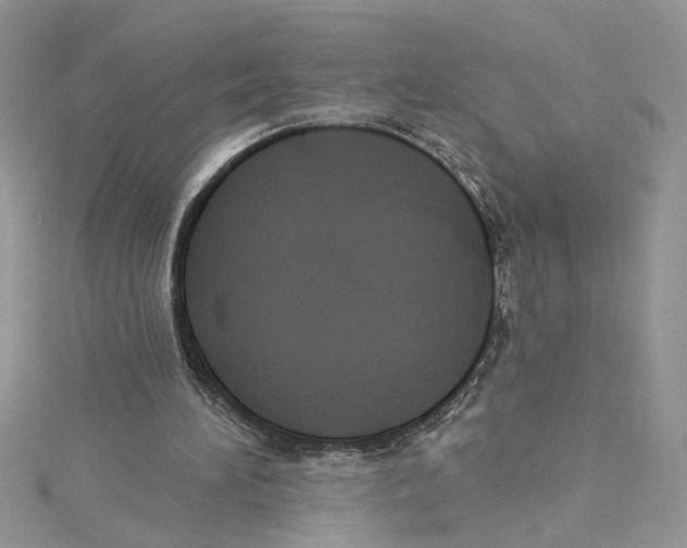 X0000114630196200911171017