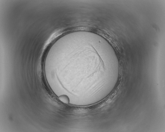 X0000114630198200911171017