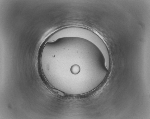 X0000114630199200911171017