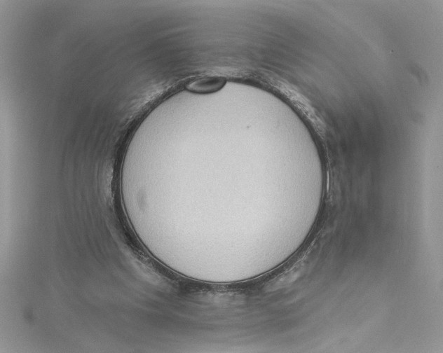 X0000114630201200911171017