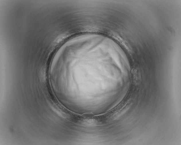 X0000114630203200911171017