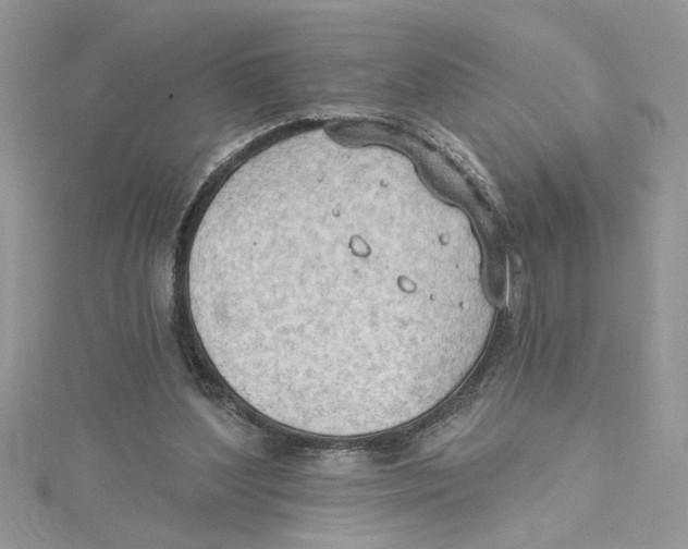 X0000114630204200911171017