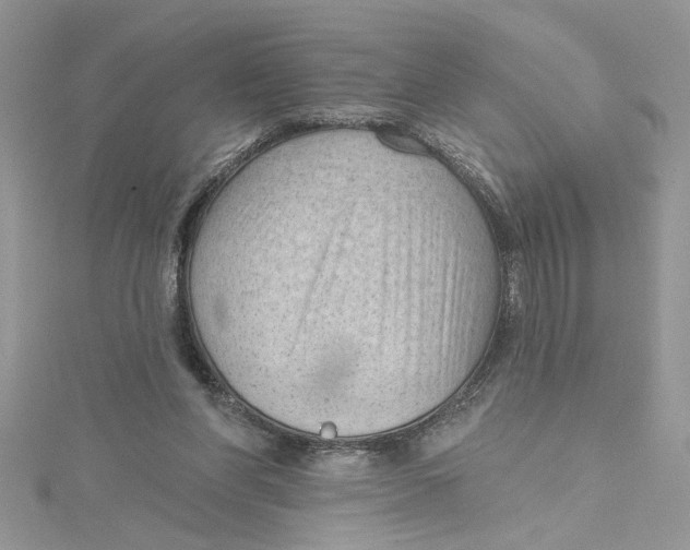 X0000114630206200911171017