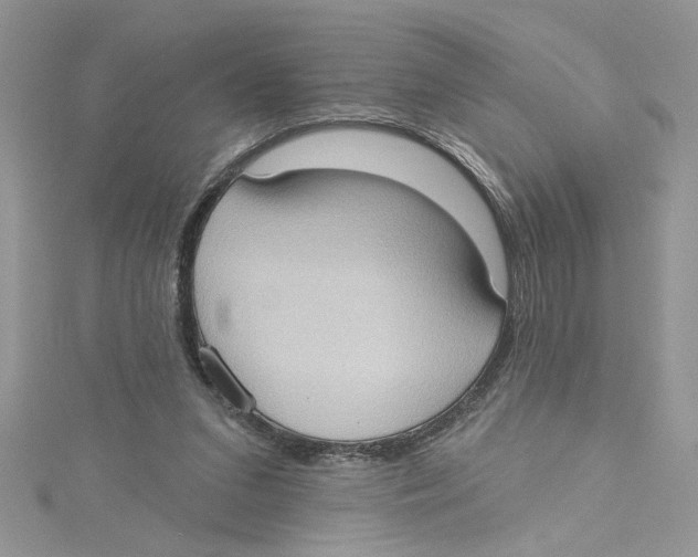 X0000114630207200911171017