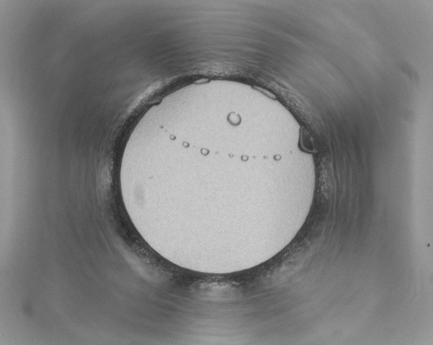 X0000114630208200911171017