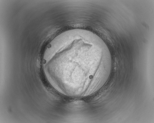 X0000114630210200911171016