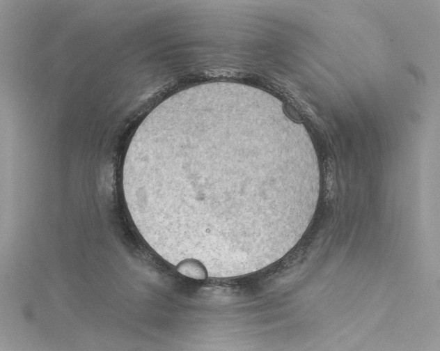 X0000114630211200911171016