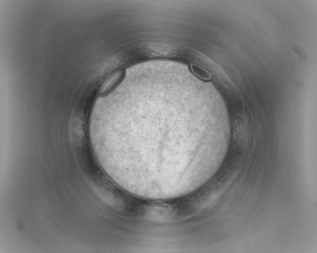 X0000114630215200911171016