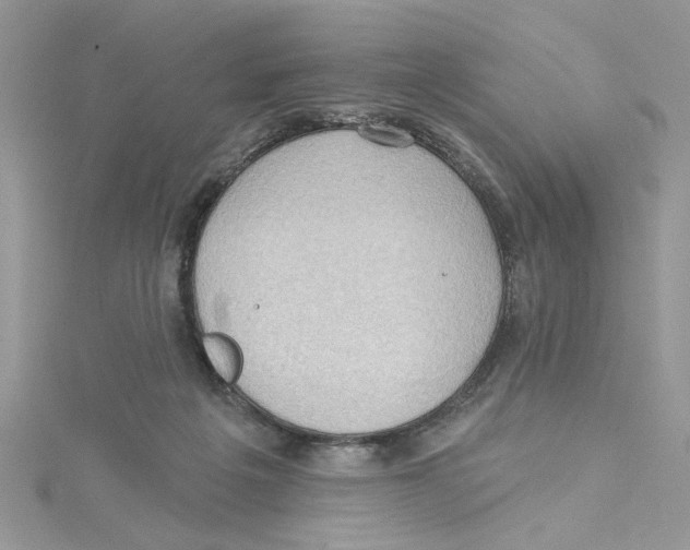 X0000114630217200911171016