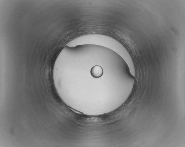 X0000114630225200911171016