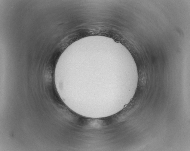 X0000114630226200911171016