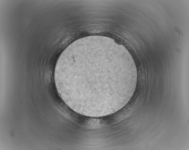 X0000114630227200911171016