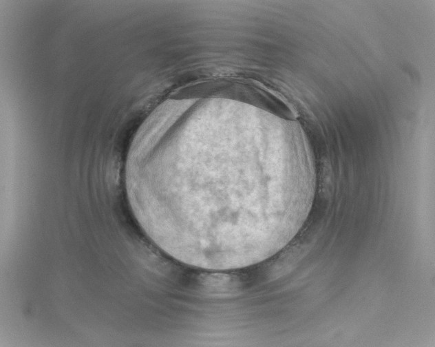 X0000114630230200911171016