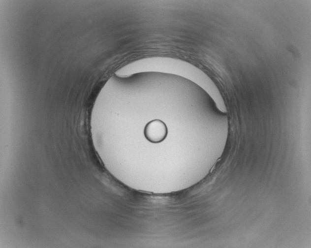 X0000114630233200911171016