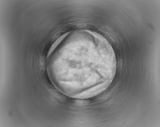 X0000114630234200911171016