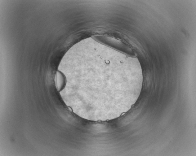 X0000114630236200911171016