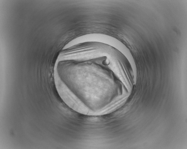 X0000114630237200911171016