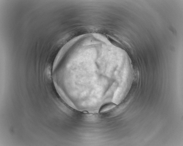 X0000114630238200911171016