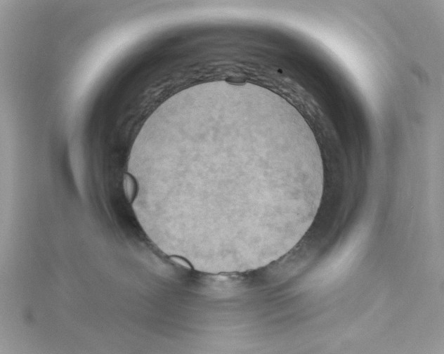 X0000114630239200911171016