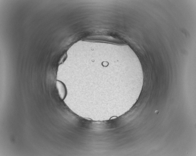 X0000114630240200911171016