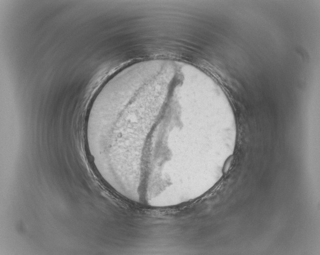 X0000114630241200911171015