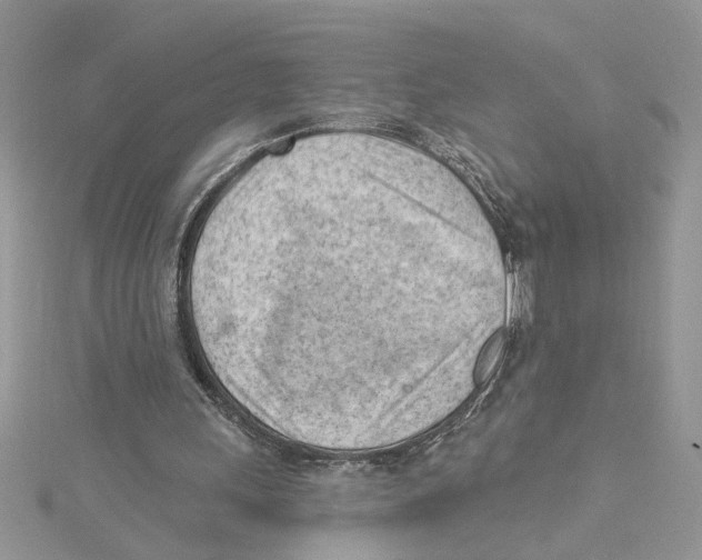 X0000114630243200911171016