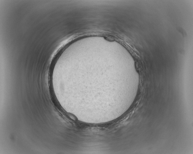 X0000114630244200911171016