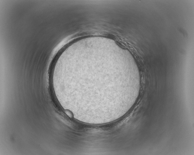 X0000114630246200911171016