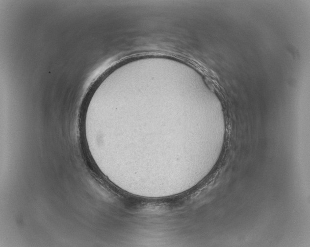 X0000114630248200911171016