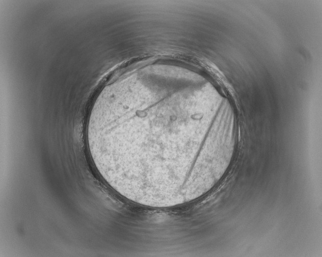 X0000114630249200911171016