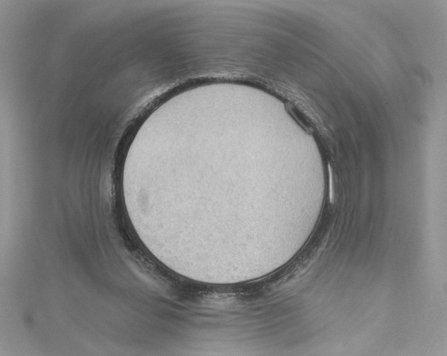 X0000114630252200911171016