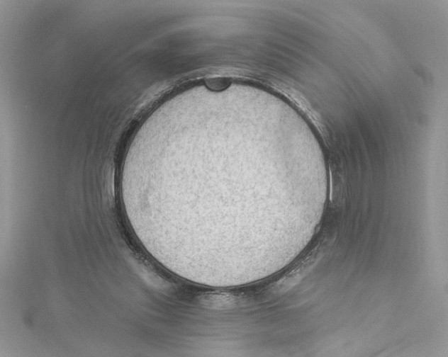 X0000114630253200911171016