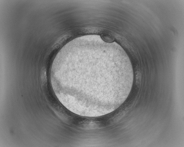 X0000114630254200911171016