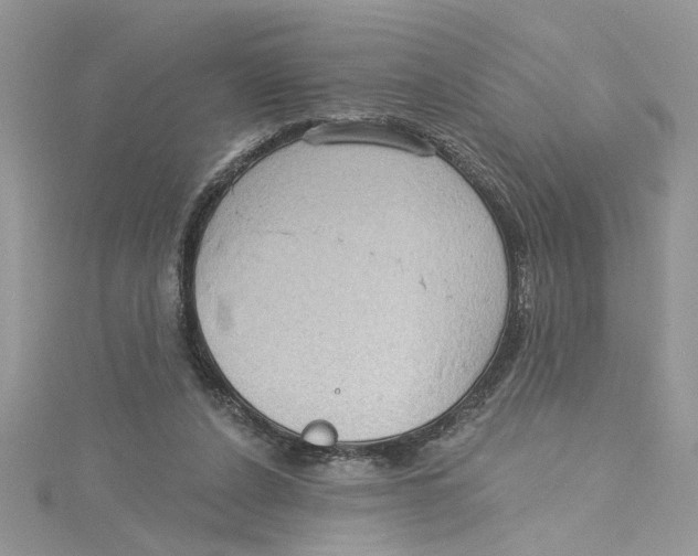 X0000114630256200911171016