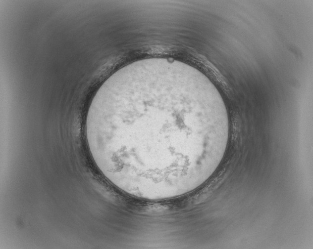 X0000114630257200911171016